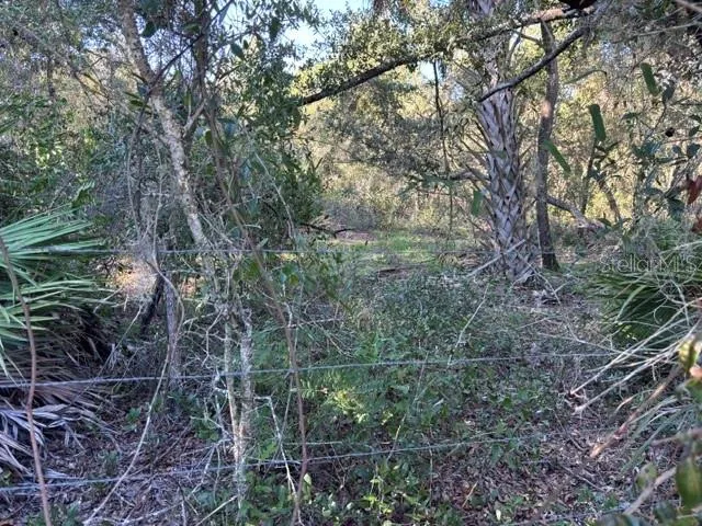 front of property is fenced