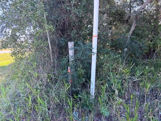 right-hand side property stake