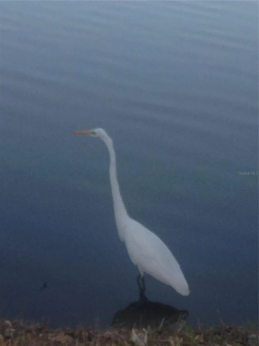 Nature visiting