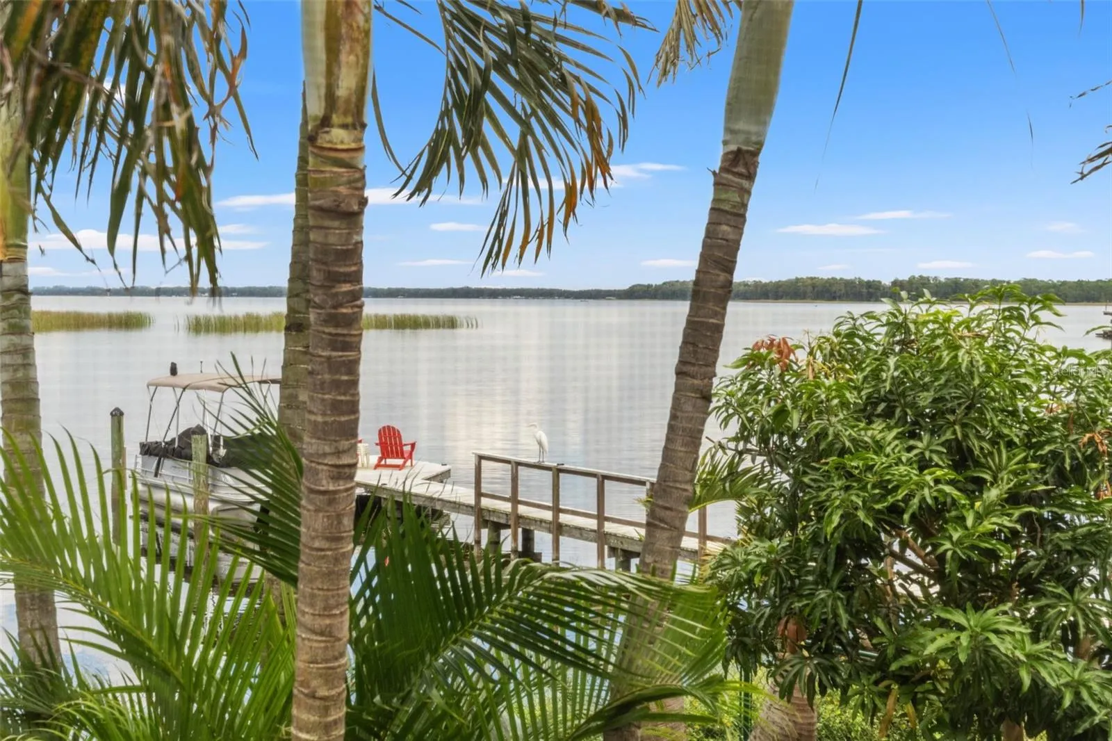 Picture yourself enjoying this peaceful waterfront setting, where palm trees frame expansive views across the lake. The private dock provides convenient access to the water, while the surrounding tropical landscaping adds to the relaxed atmosphere.