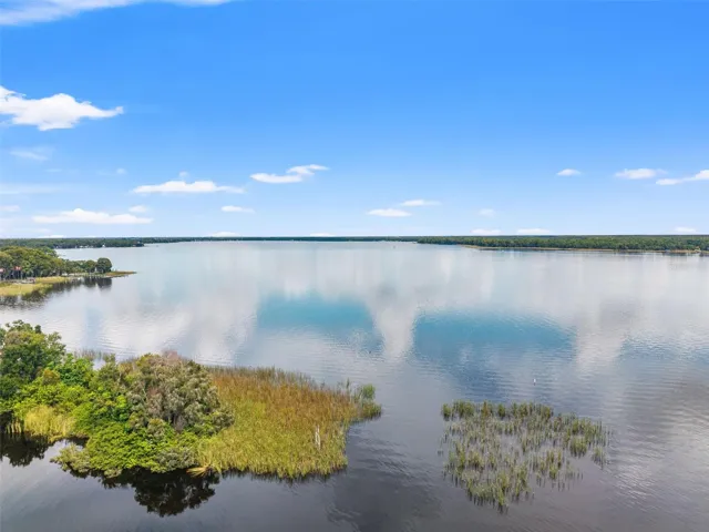 Enjoy the beauty of a waterfront neighborhood where mature trees, natural vegetation, and private docks line the shoreline. This wider aerial perspective highlights the property's position beside a wooded area, adding to its secluded feel while remaining part of an established residential setting.