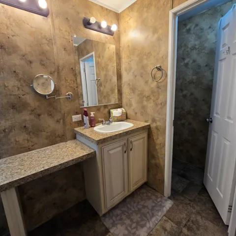 Primary Vanity