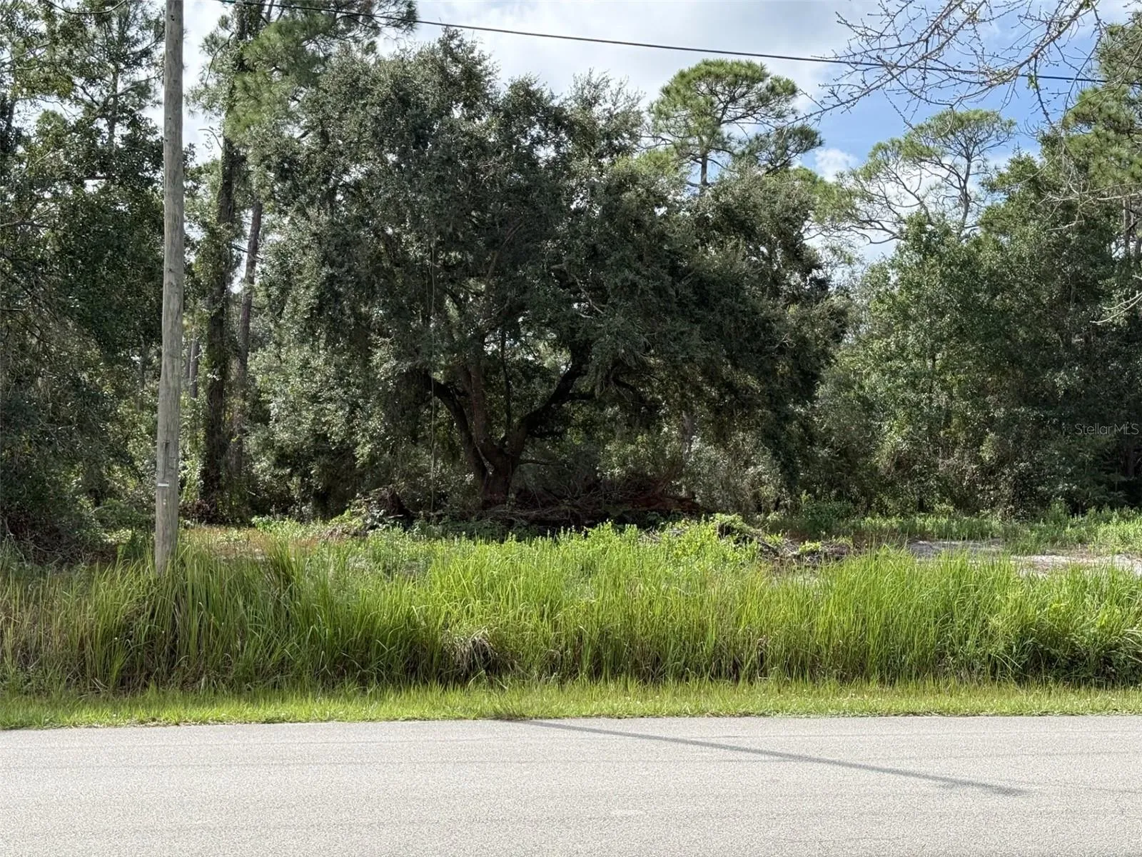 East Boundary