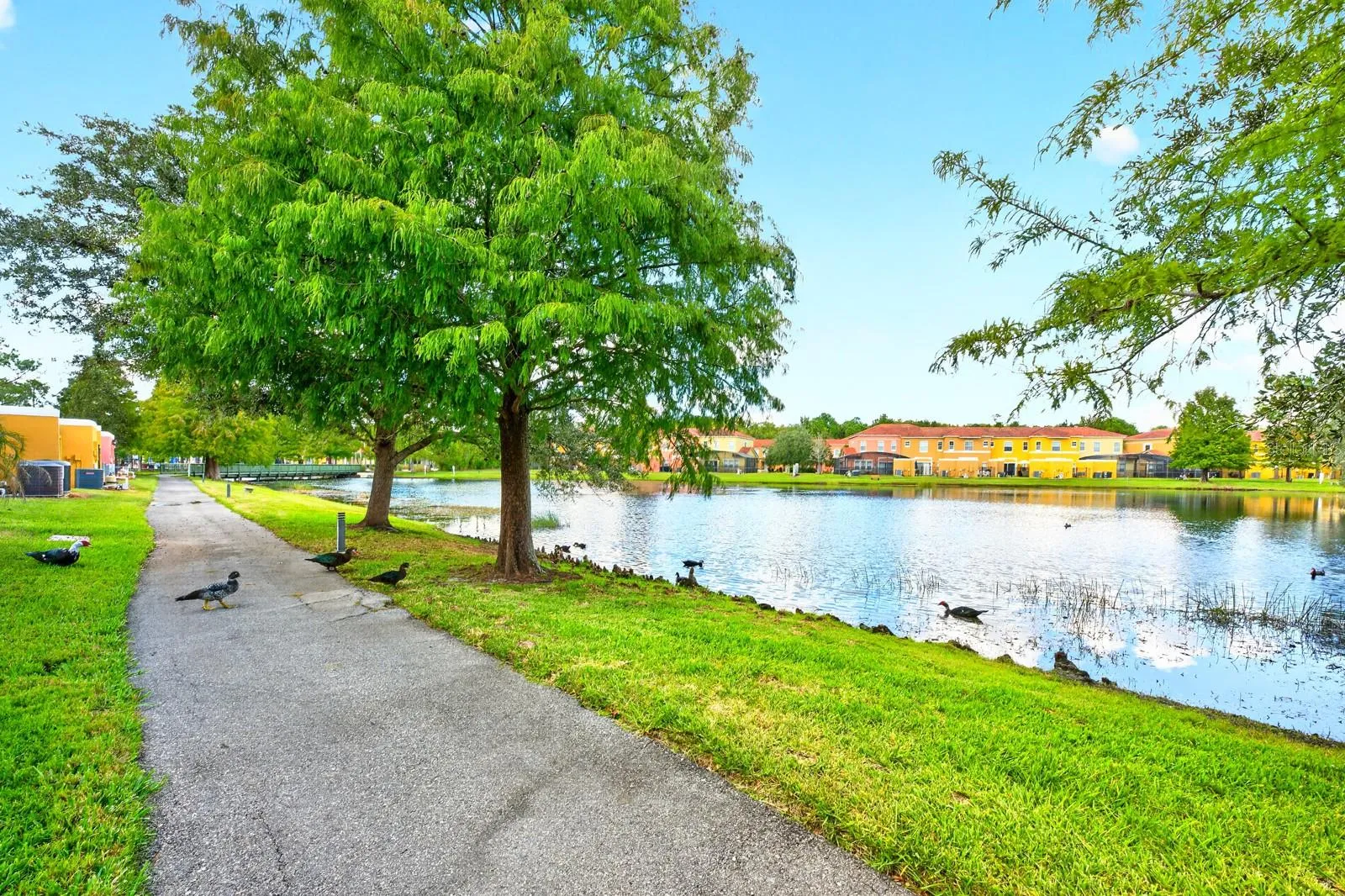 A PEACEFUL POND VIEW creates a relaxing backdrop.