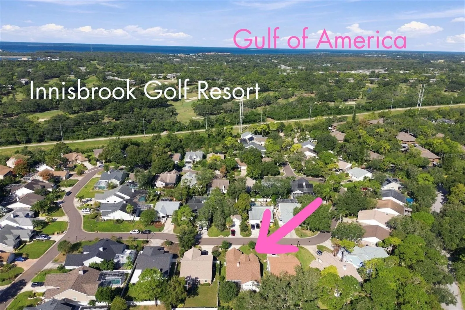Next to Innisbrook Golf Resort, The Gulf of America (Beaches!) & Lake Tarpon + shops, dining & entertainment