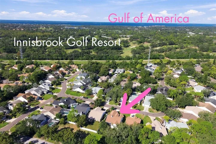 Next to Innisbrook Golf Resort, The Gulf of America (Beaches!) & Lake Tarpon + shops, dining & entertainment