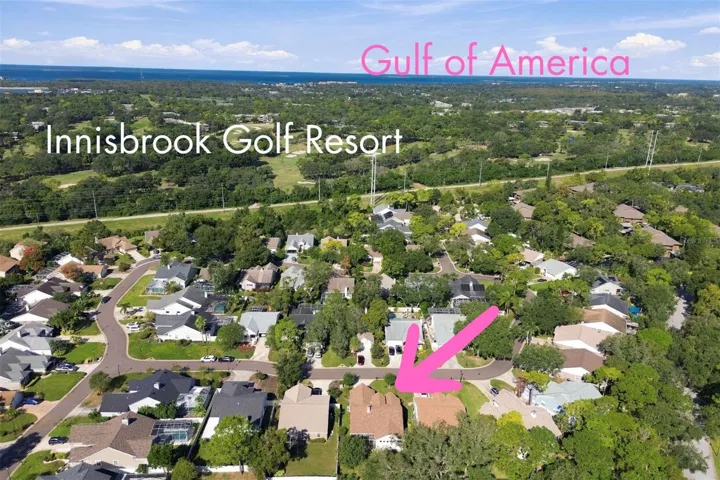 Next to Innisbrook Golf Resort, The Gulf of America (Beaches!) & Lake Tarpon + shops, dining & entertainment