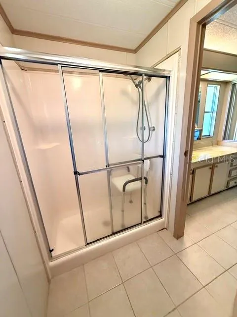 Primary bathroom shower