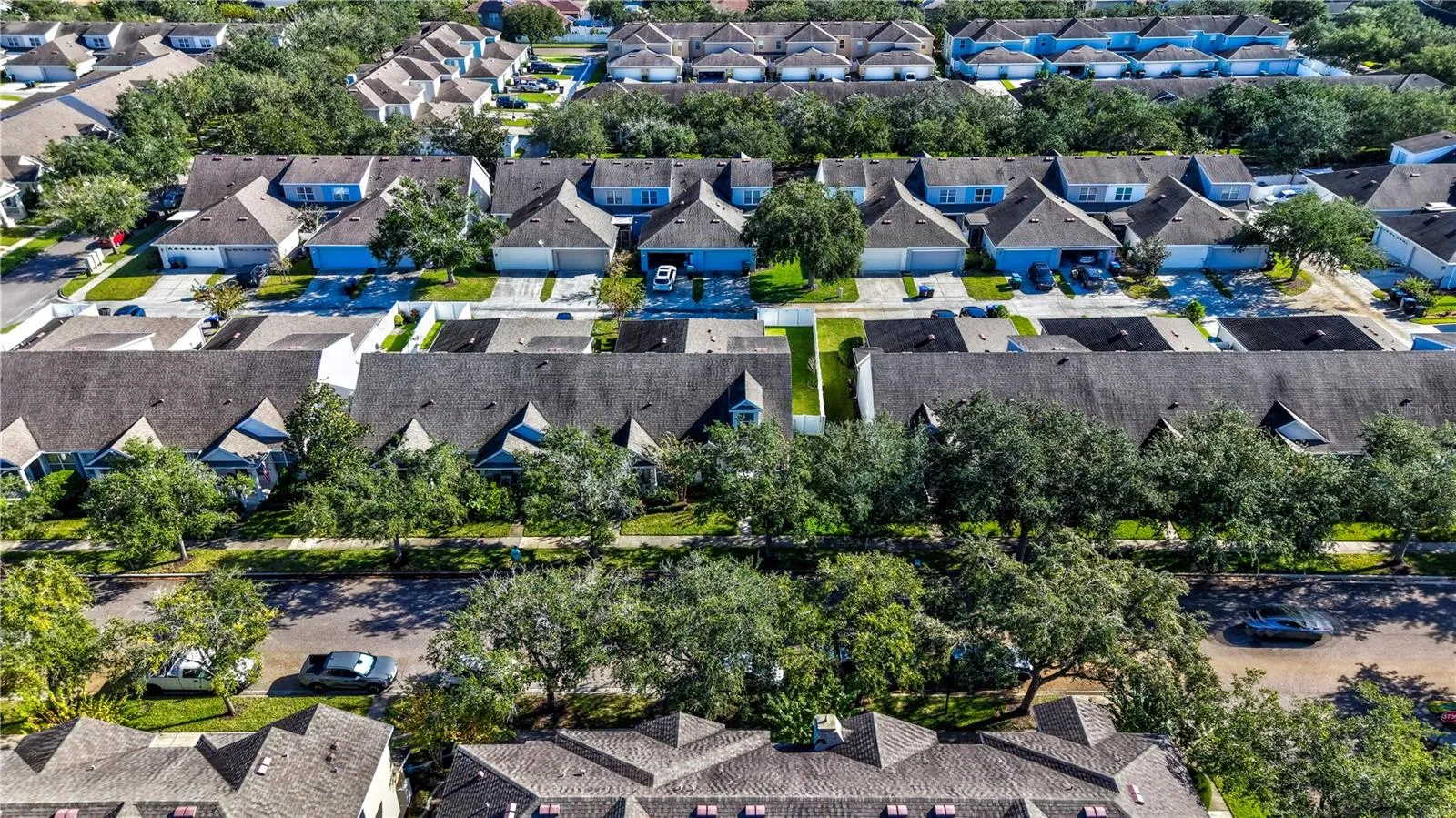Quite Neighbordhood