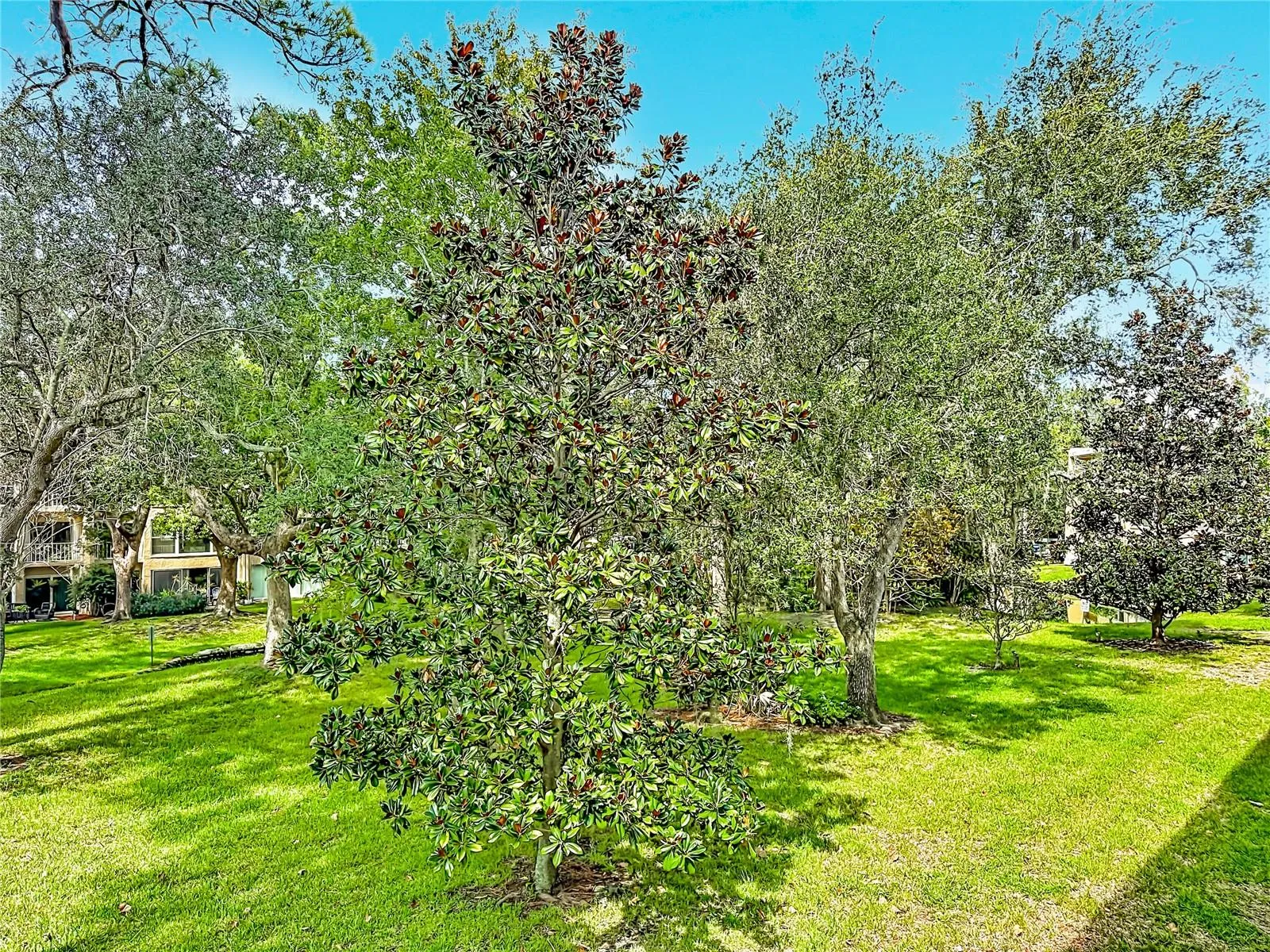 Garden area