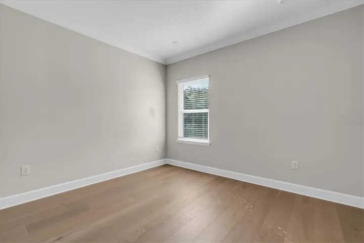Sunlit Bedroom Space View