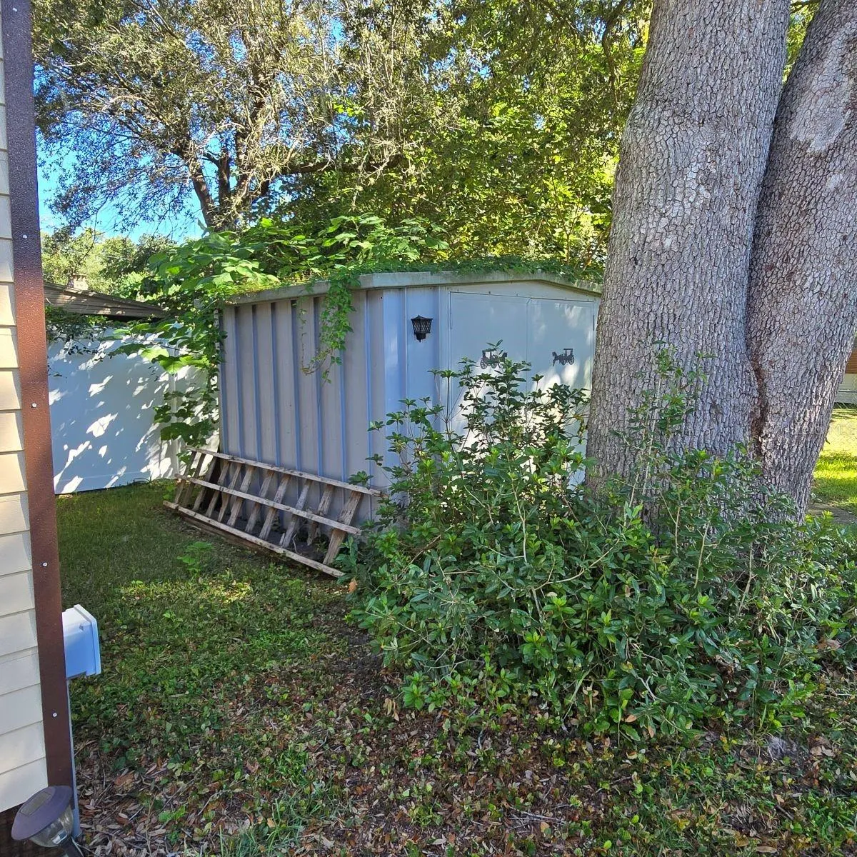 smaller shed