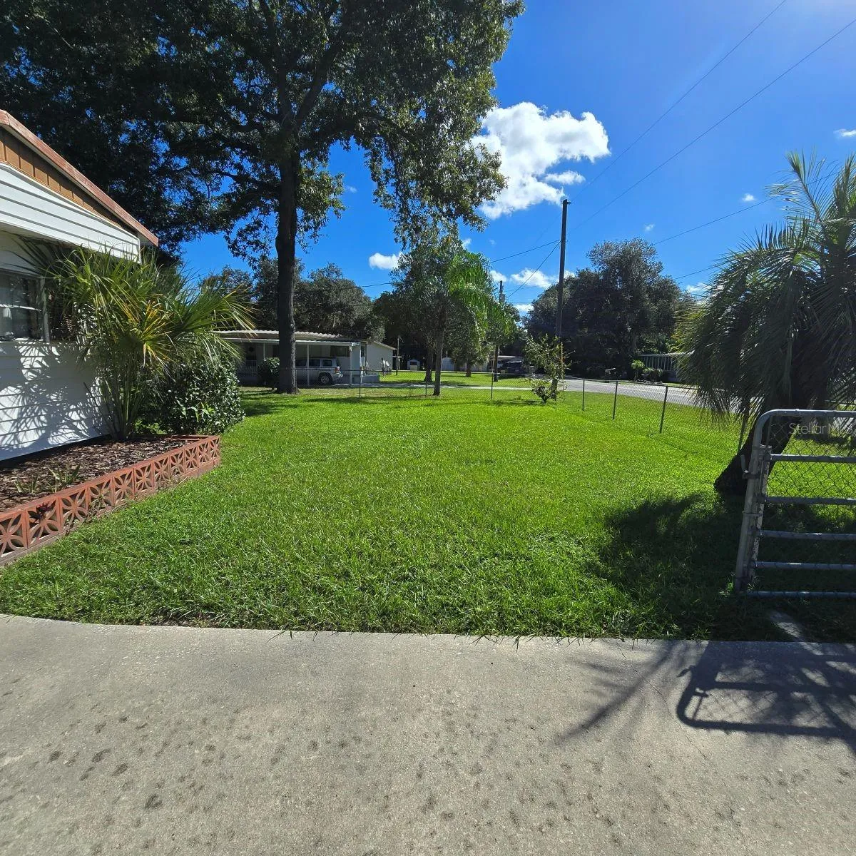Front Yard