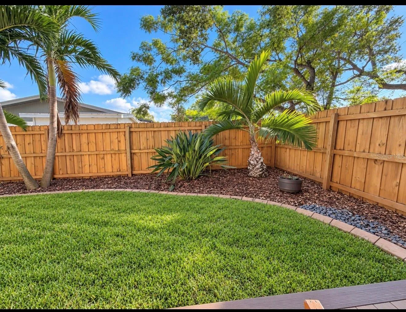 back yard landscaping