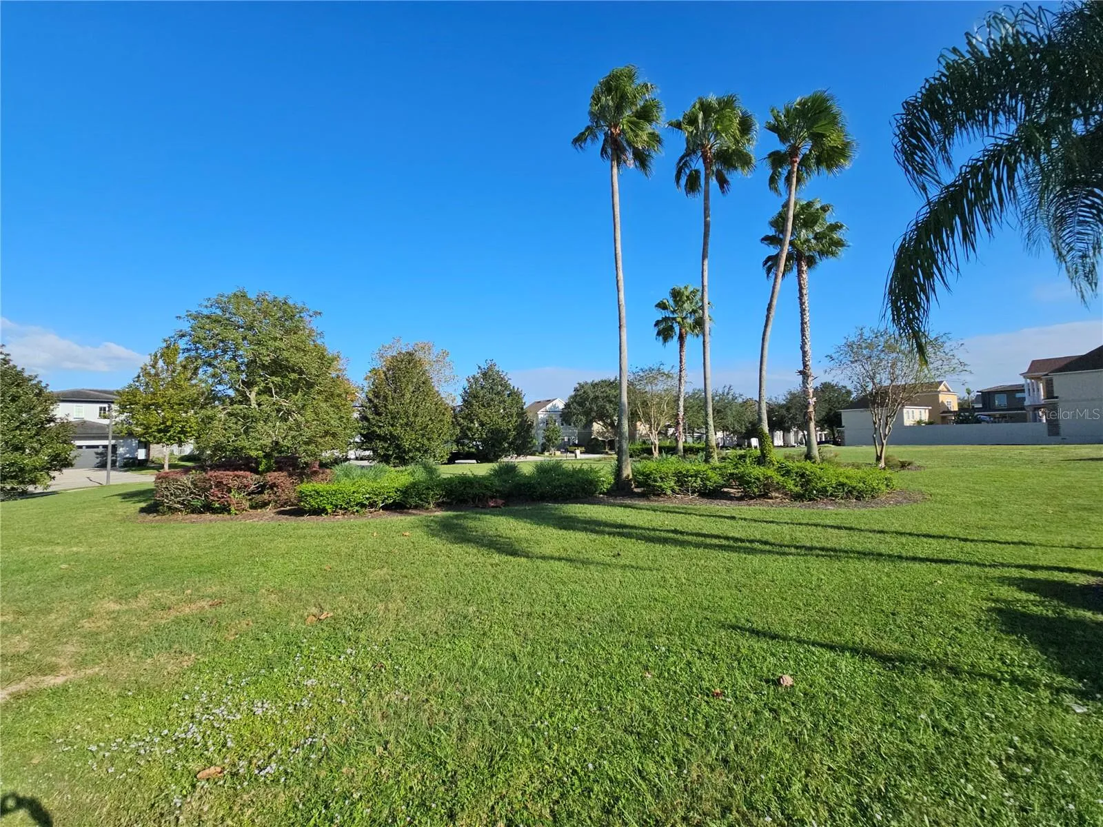 Bark Yard Park View