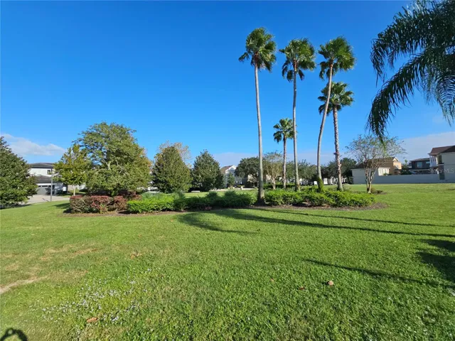 Bark Yard Park View