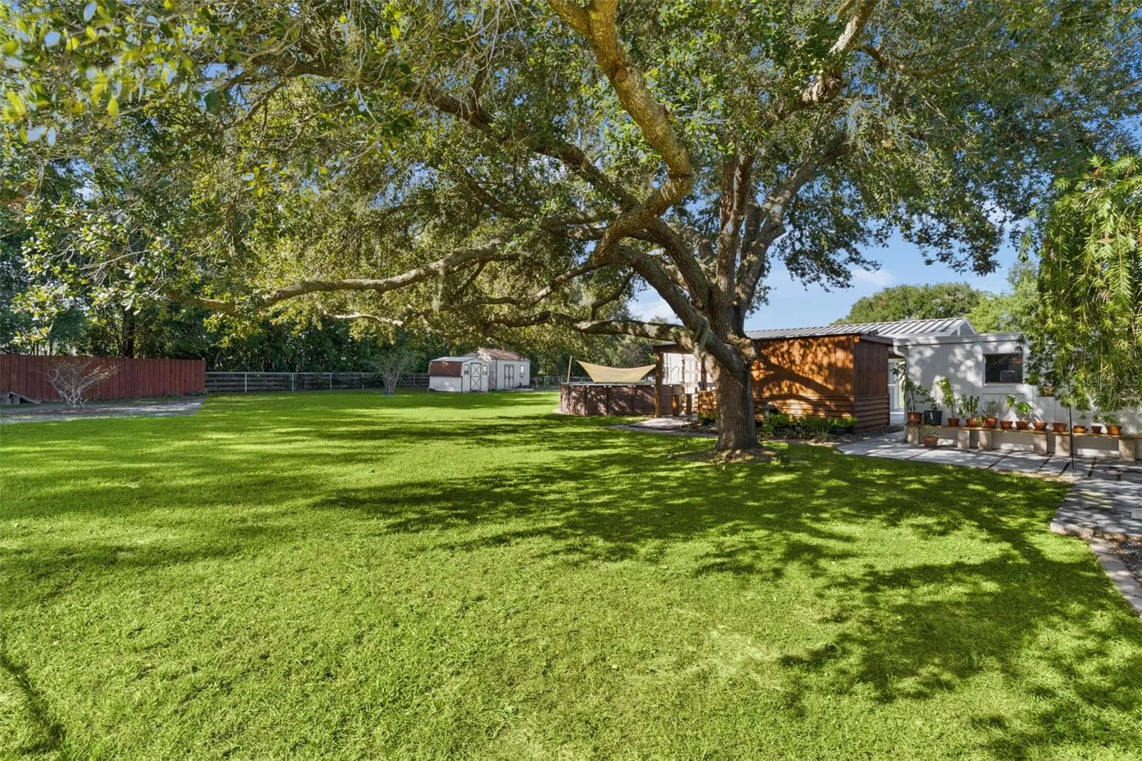 Backyard view