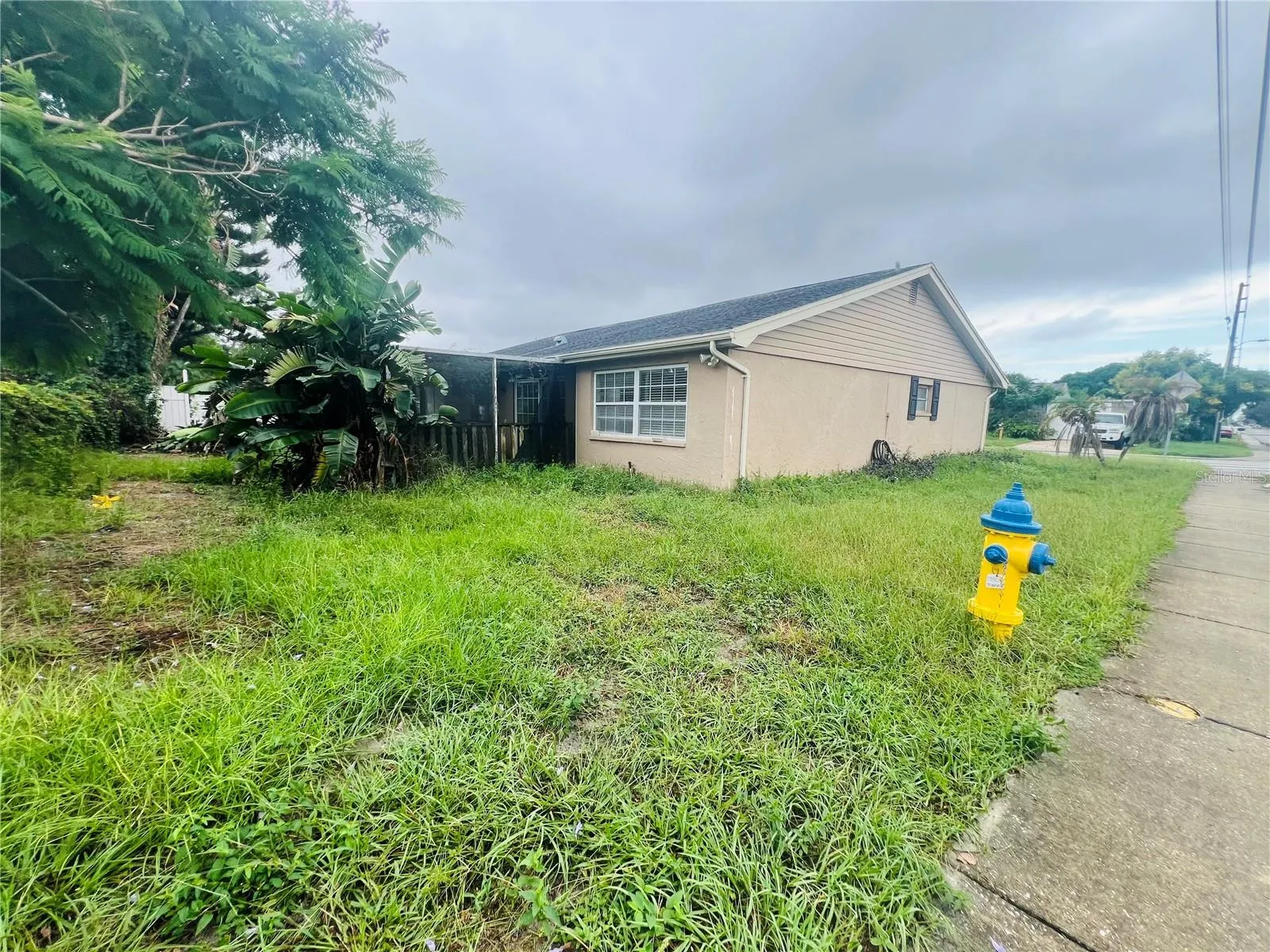 BACK AND SIDE YARD