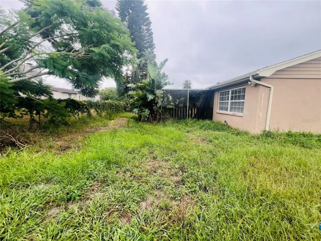 BACK YARD