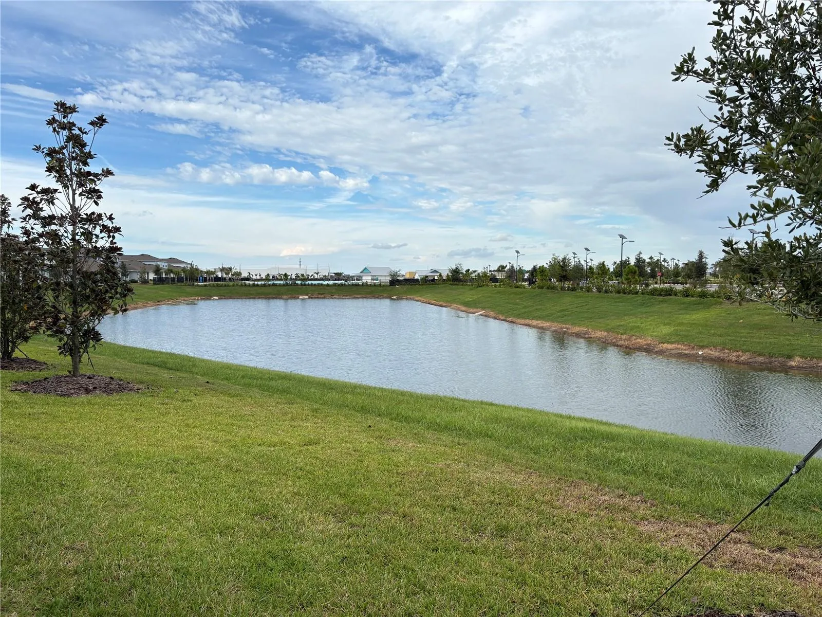 Pond view