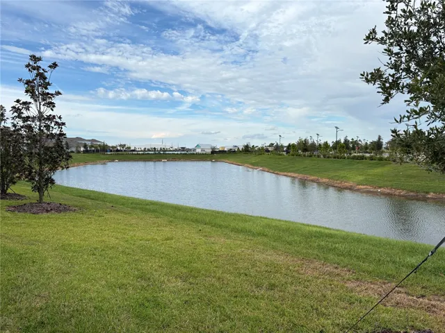 Pond view