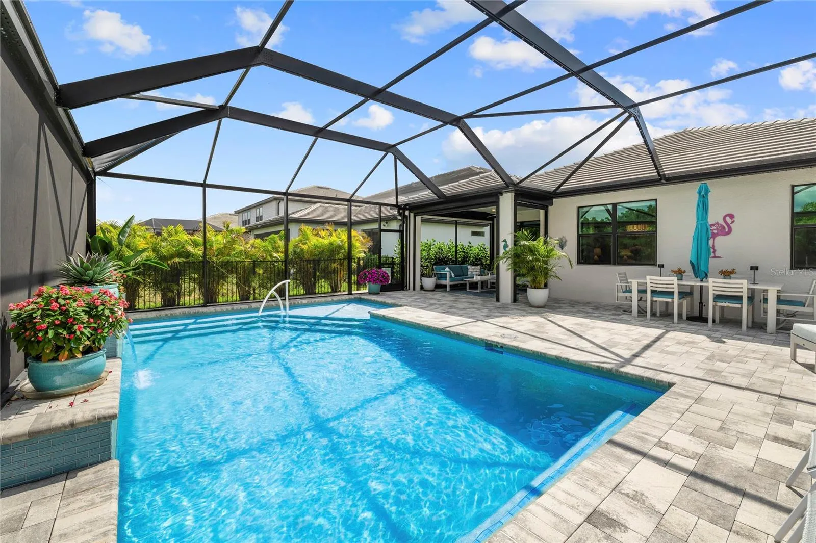 Custom Saltwater Pool with screen enclosure!