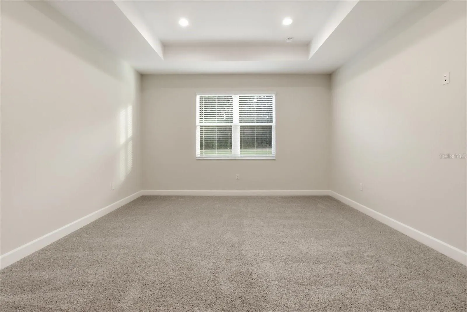 The primary bedroom also features tray ceilings and carpet for added comfort.