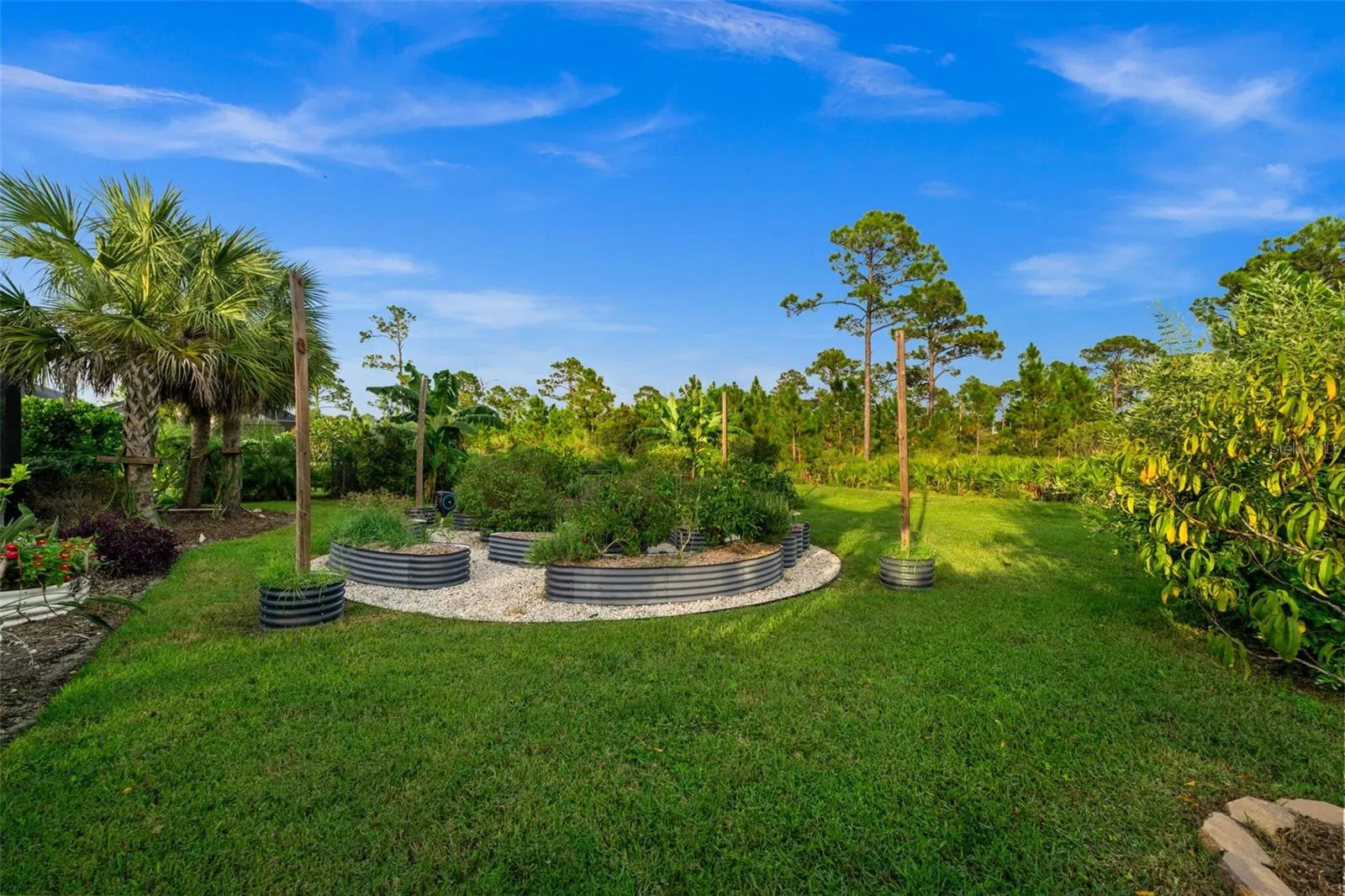 Outdoor Garden