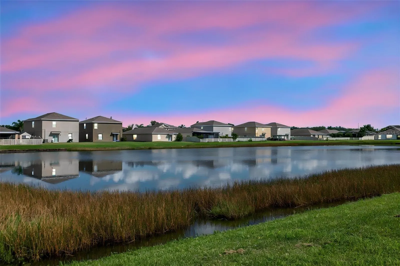 Backyard view