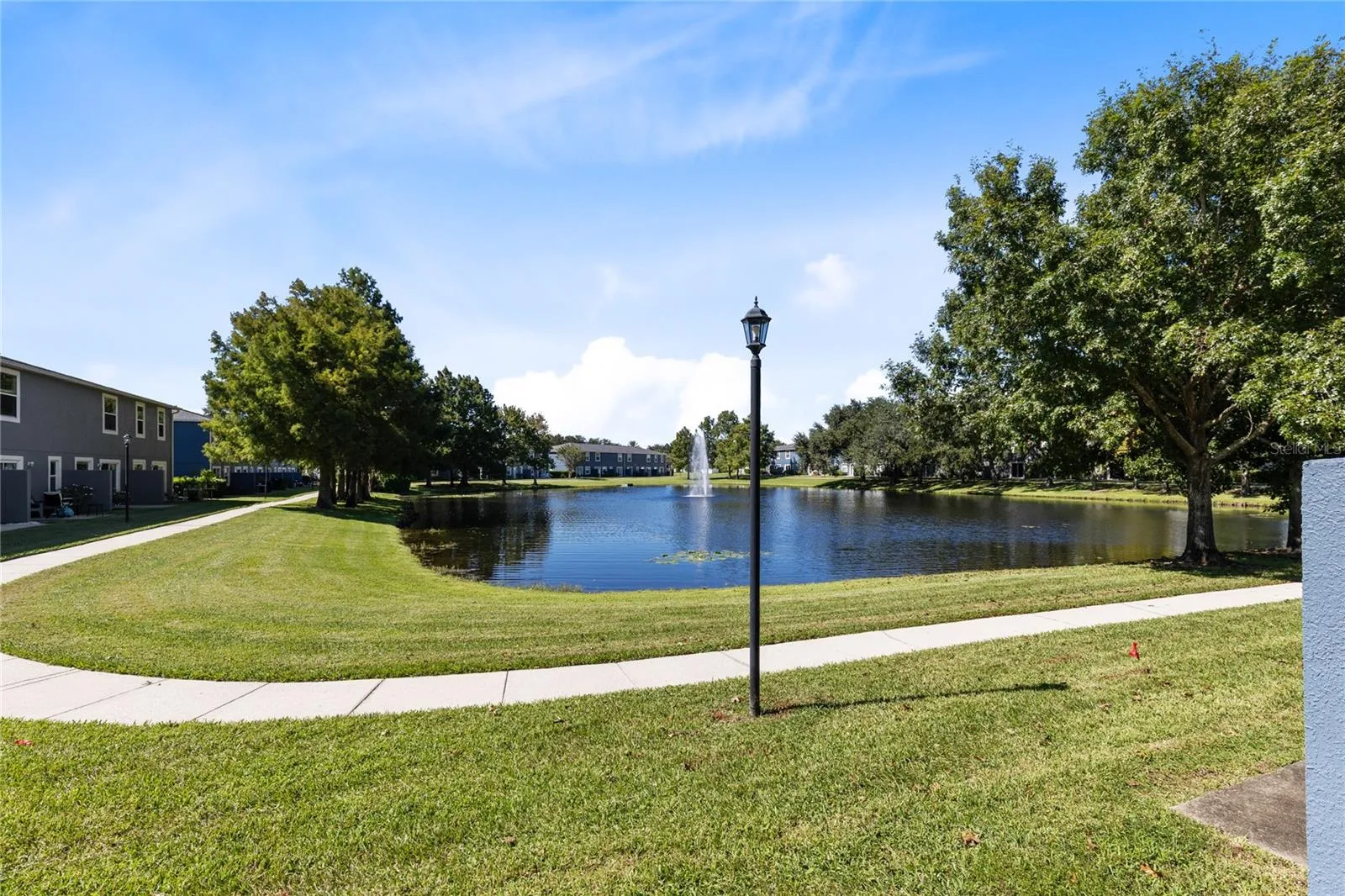 Pond View