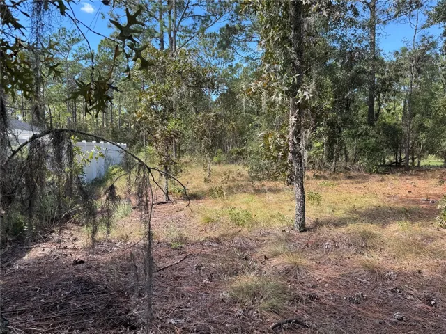 LOT 21 LOOKING FROM NE REAR OF .24 ACRE LOT ALONG THE SOUTHSIDE BOUNDARY TO THE ROAD (WESTSIDE OF LOT (SOUTHSIDE OF LOT), IS NEIGHBORING PROPERTY. TO THE RIGHT IS 2615 SW 15TH CT HOME FOR SALE ALSO. BOTH PROPERTIES CAN BE SOLD TOGETHER OR SEPARATE