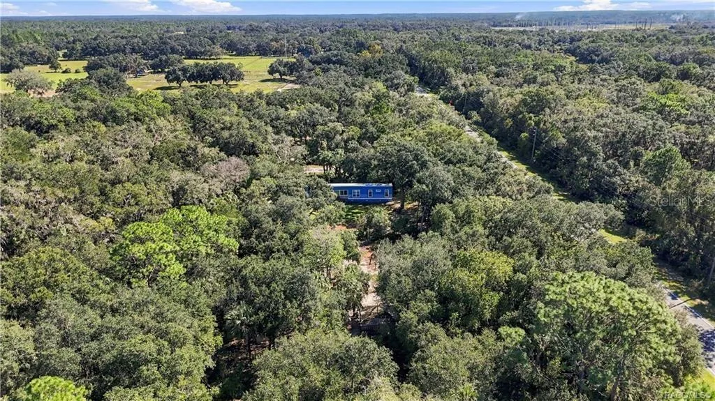 FLORIDA'S NATURAL BEAUTY! Another stunning aerial perspective showcases the surrounding tree canopy, lush vegetation &amp; peaceful, wooded setting.