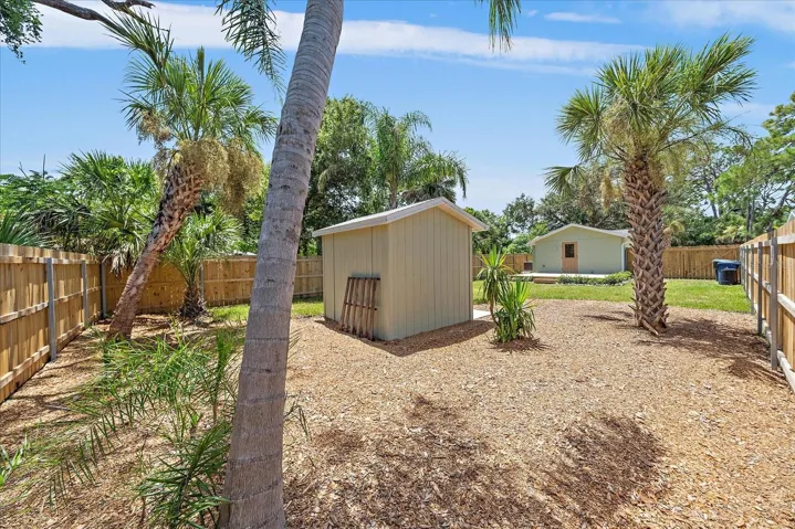 Backyard