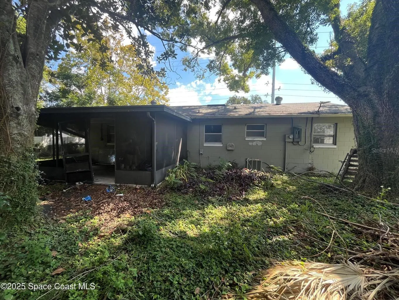 Back Of House