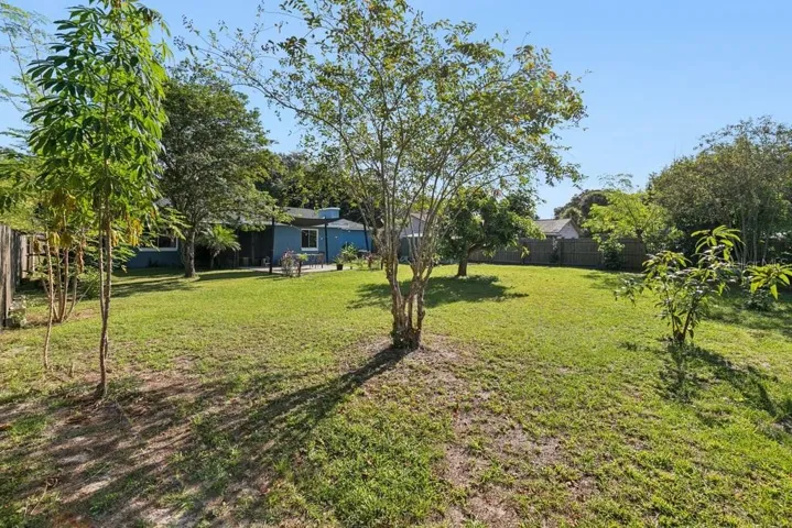 Large Backyard