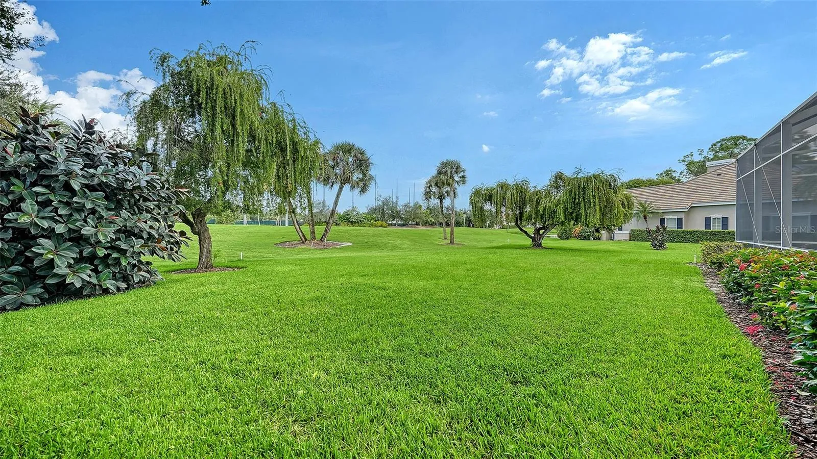 Grounds in Rear of Cage (House on Right)
