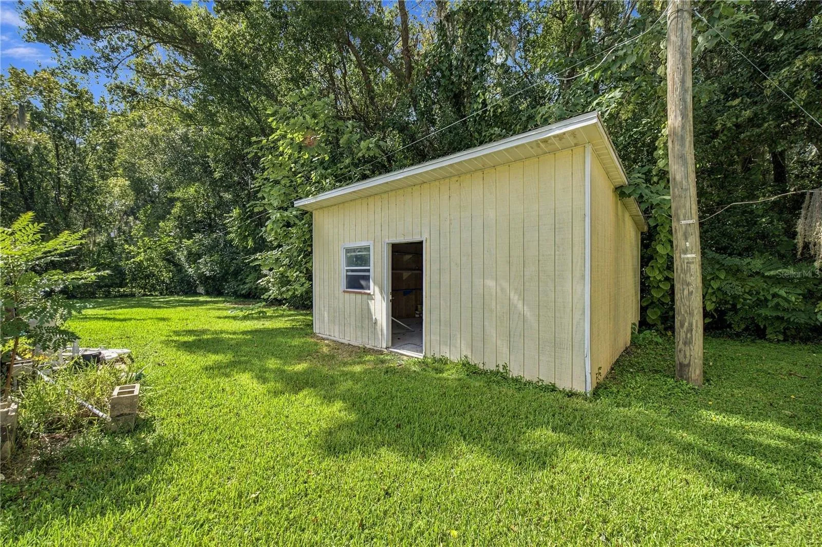 Shed 2