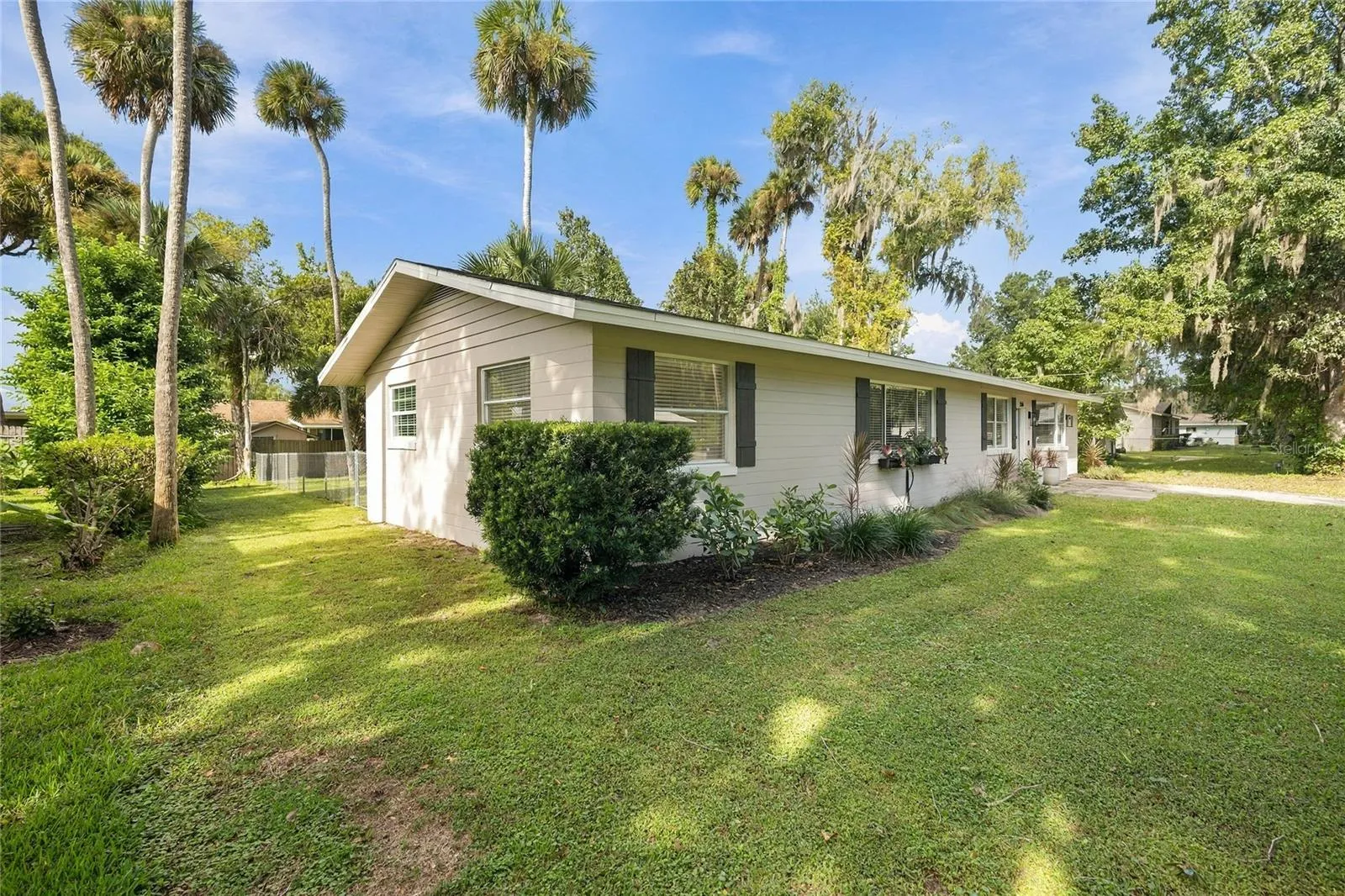 left side and front yard
