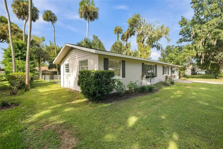 left side and front yard