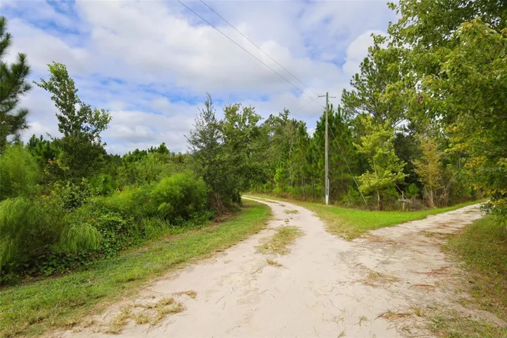 Entry Drive View