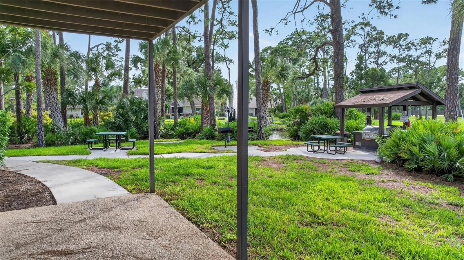 Grilling Area