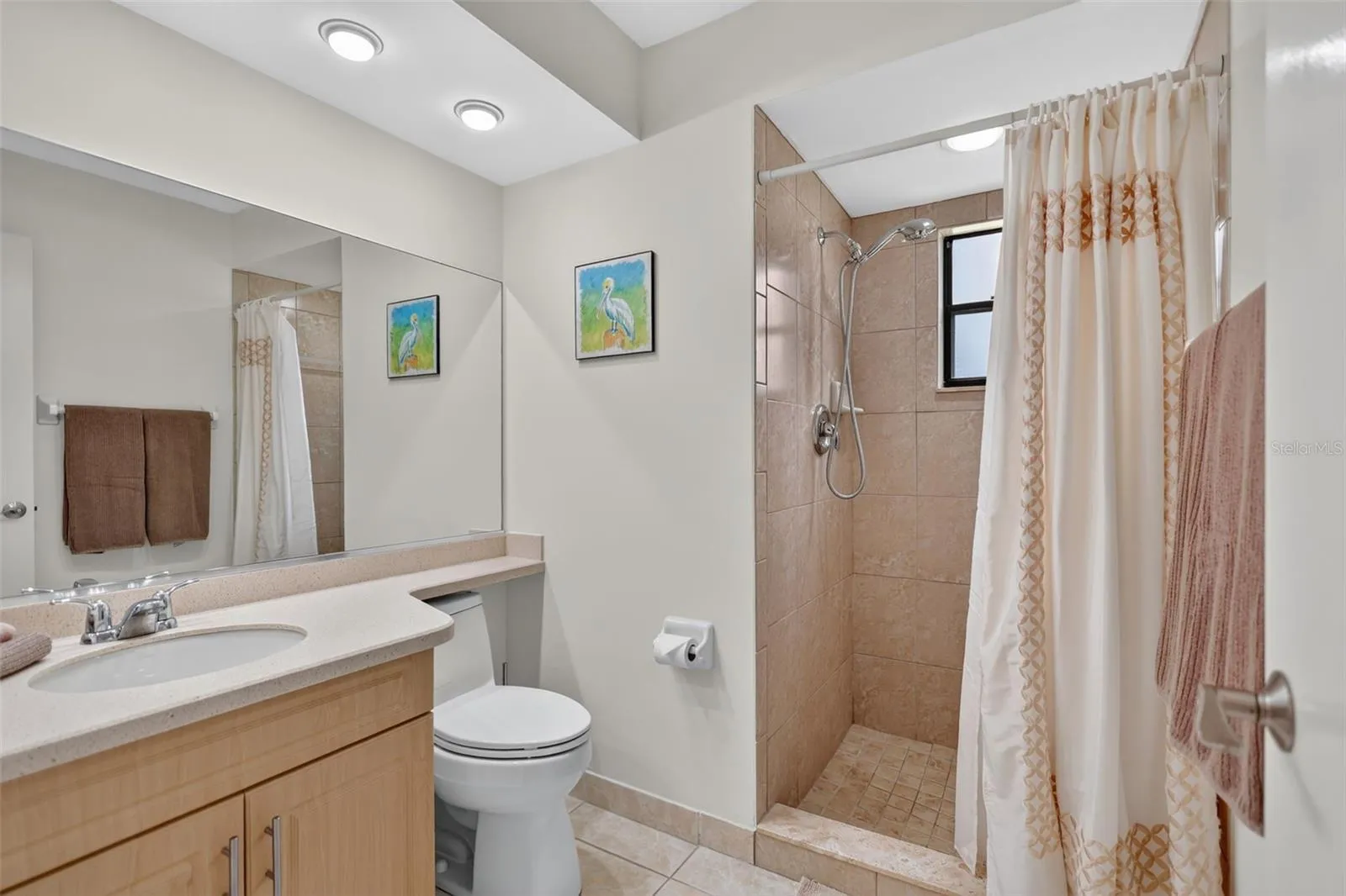 Guest Bathroom, shower