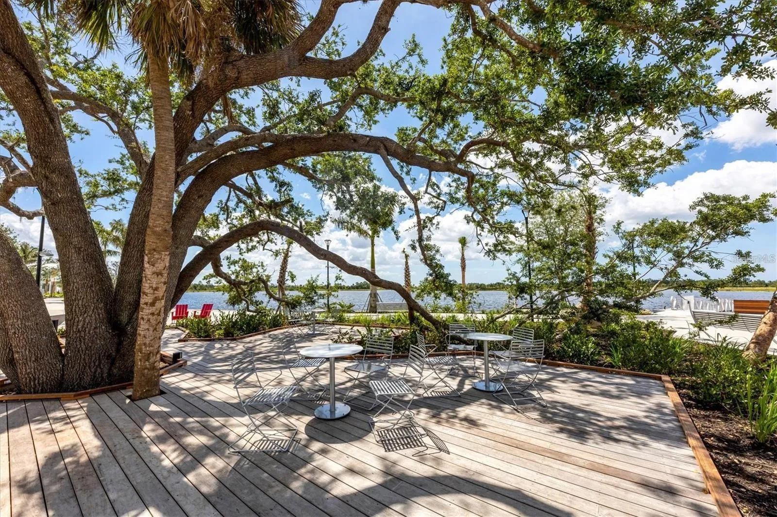 Wellen park Oak Tree...Concerts and live Music during the week under this tree!