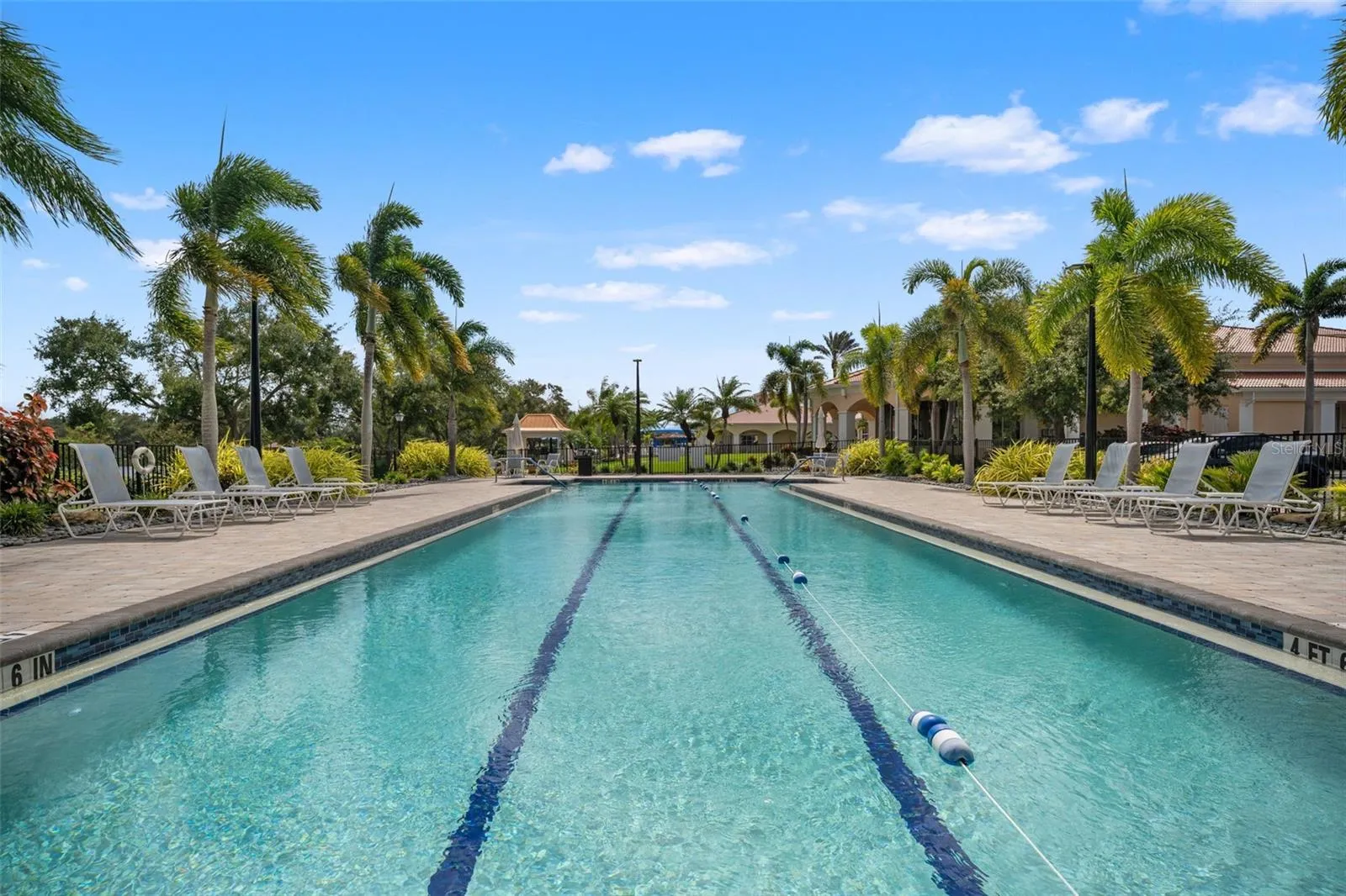 Lap pool