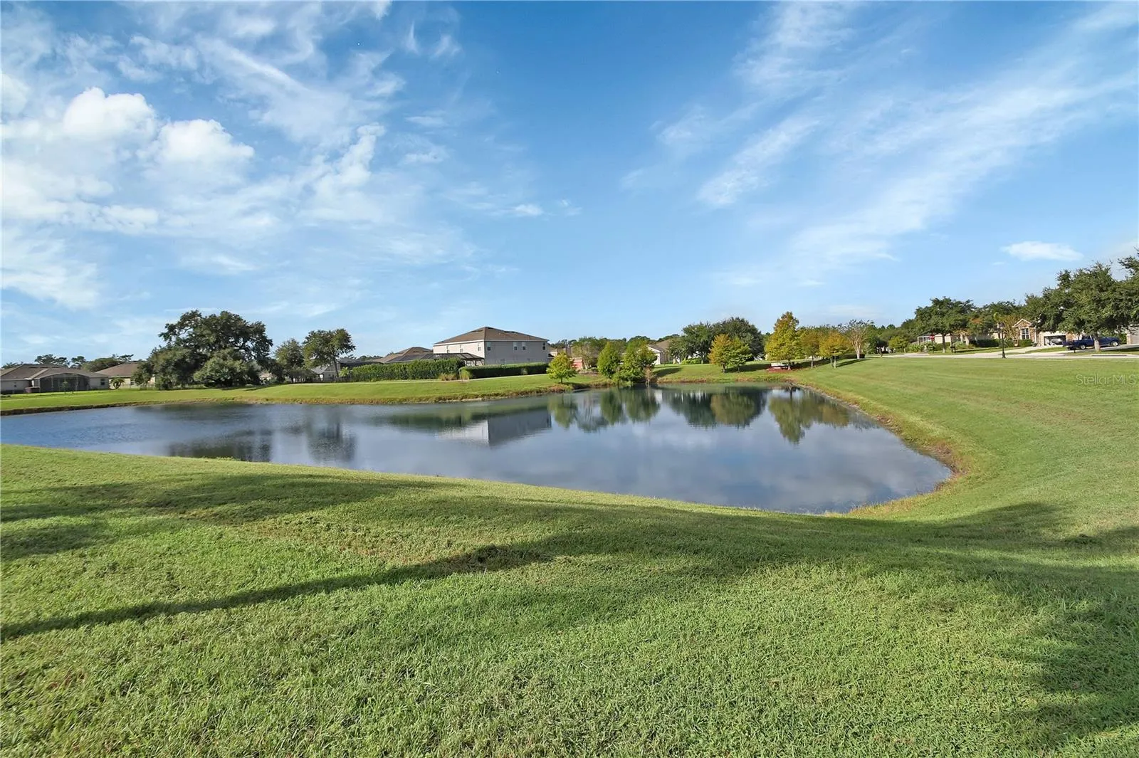 Pond view