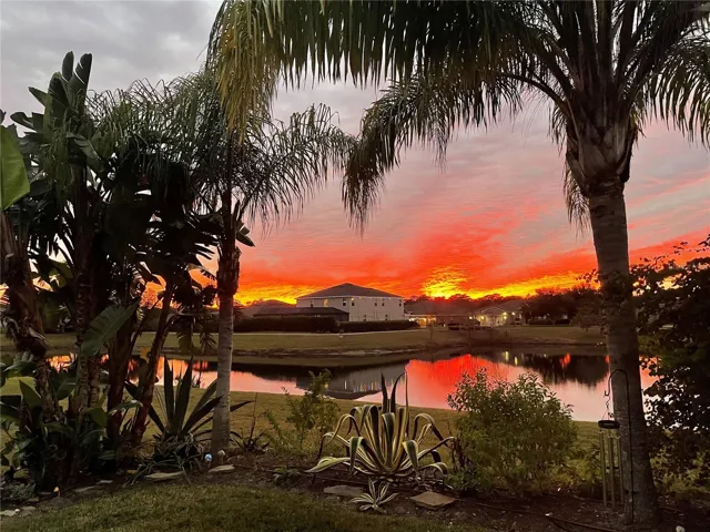 Sunset over the pond