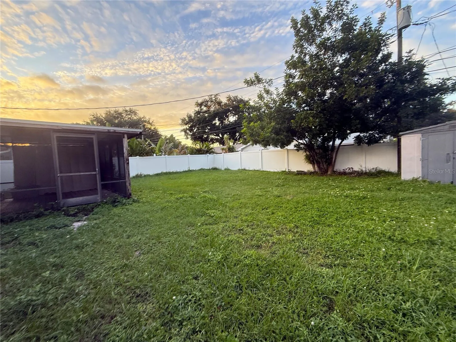 Large back yard