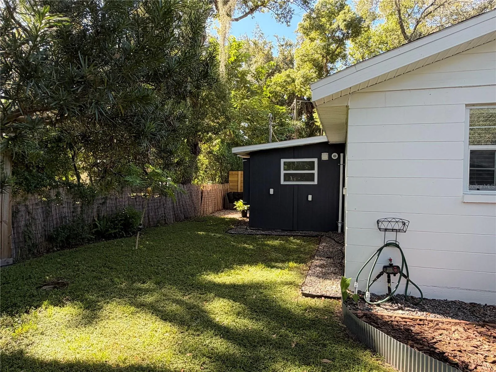 Backyard