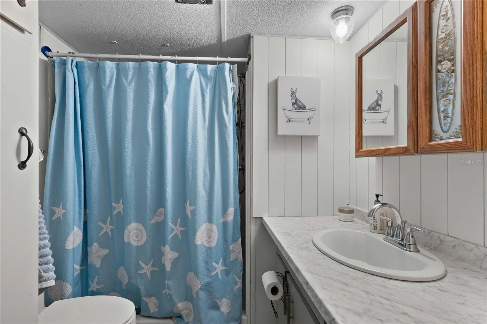 Guest bathroom.