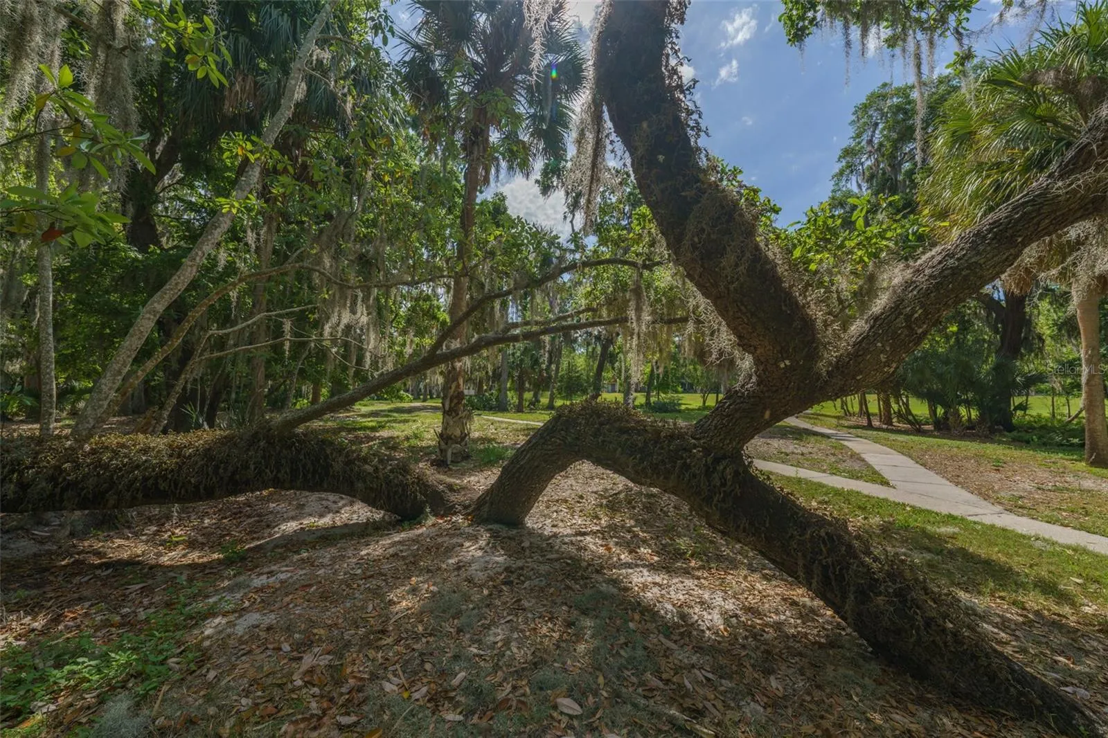 nature trail